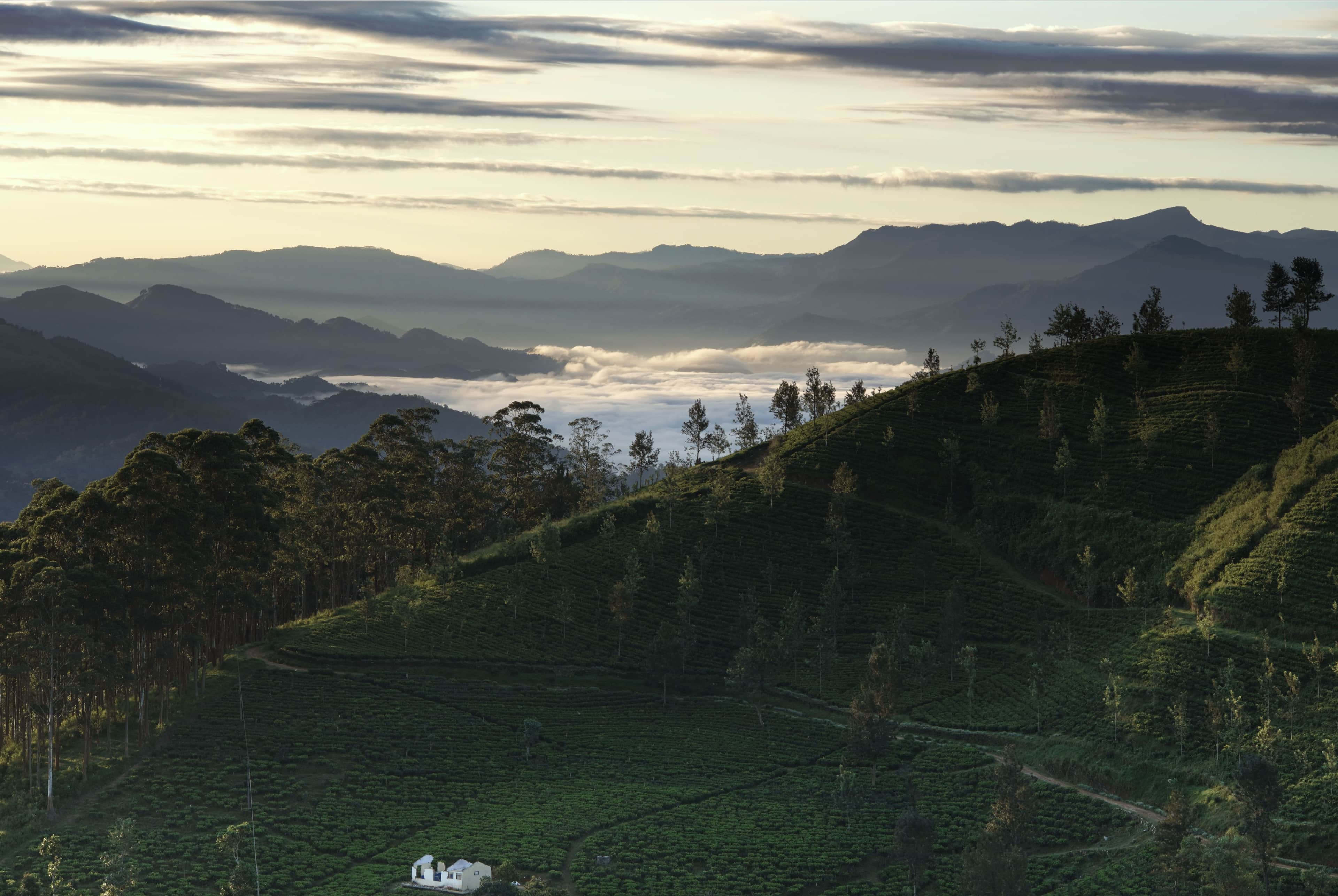 Best Sri Lanka Tour Packages From India