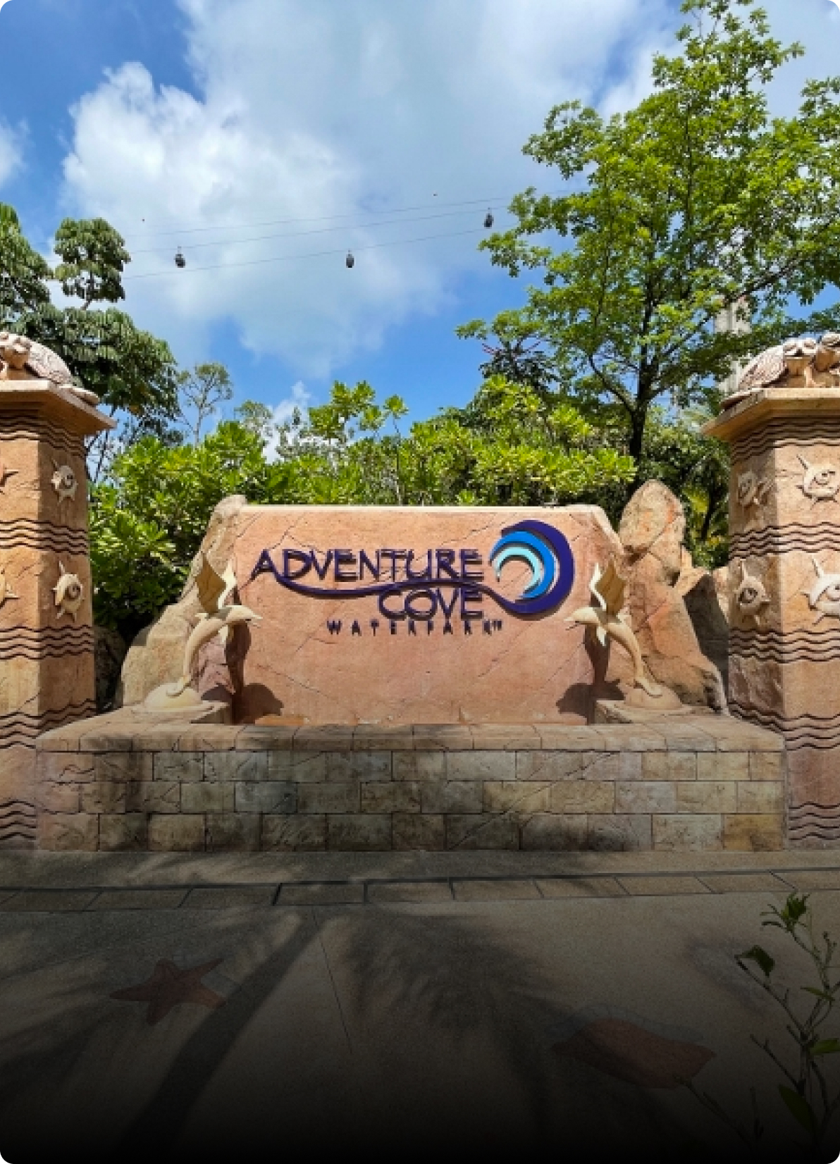 Adventure Cove Waterpark