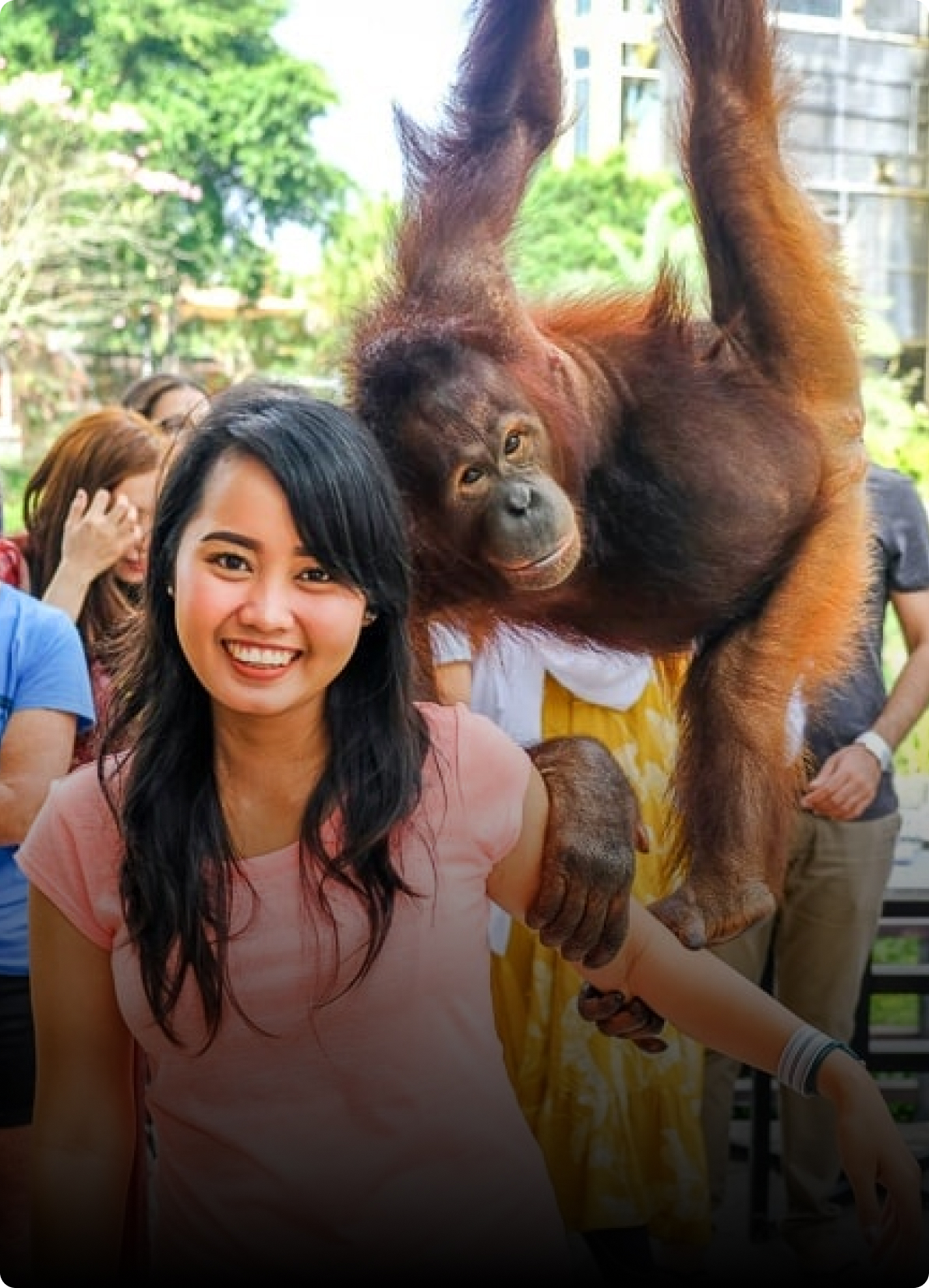 Breakfast with Orangutans