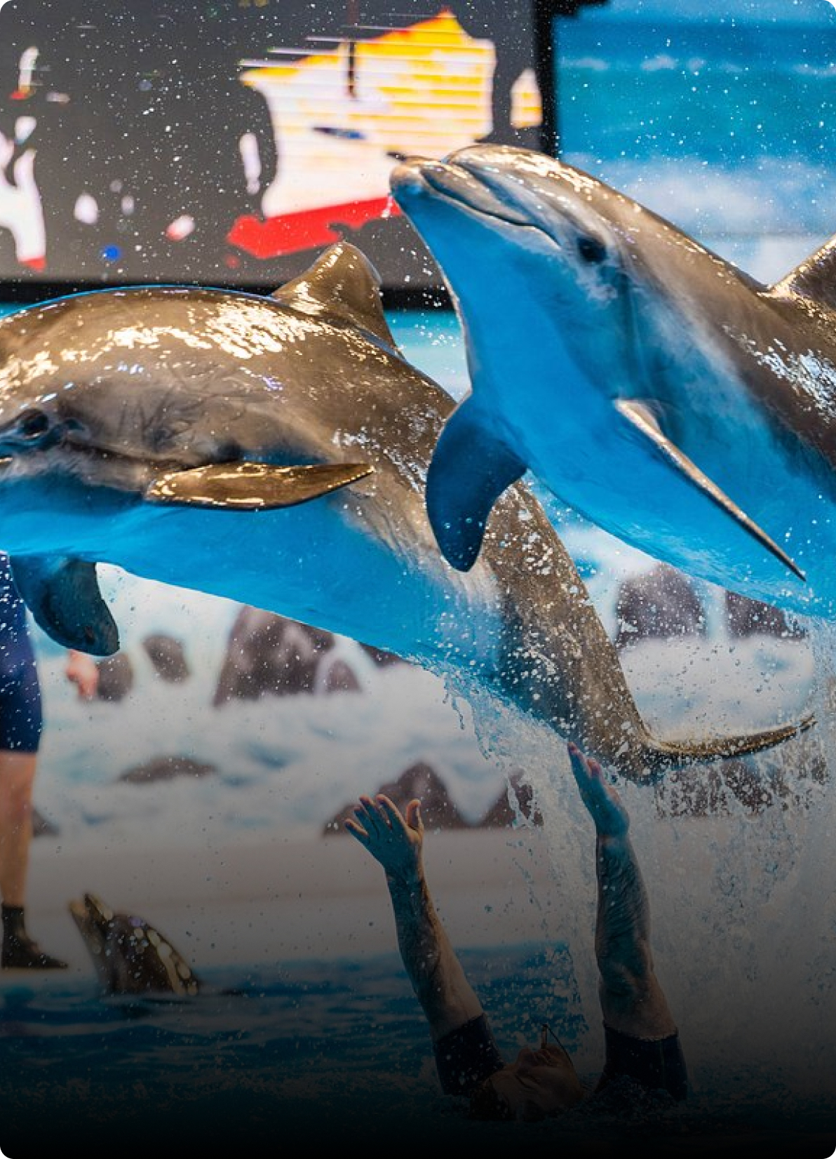 Dubai Dolphinarium