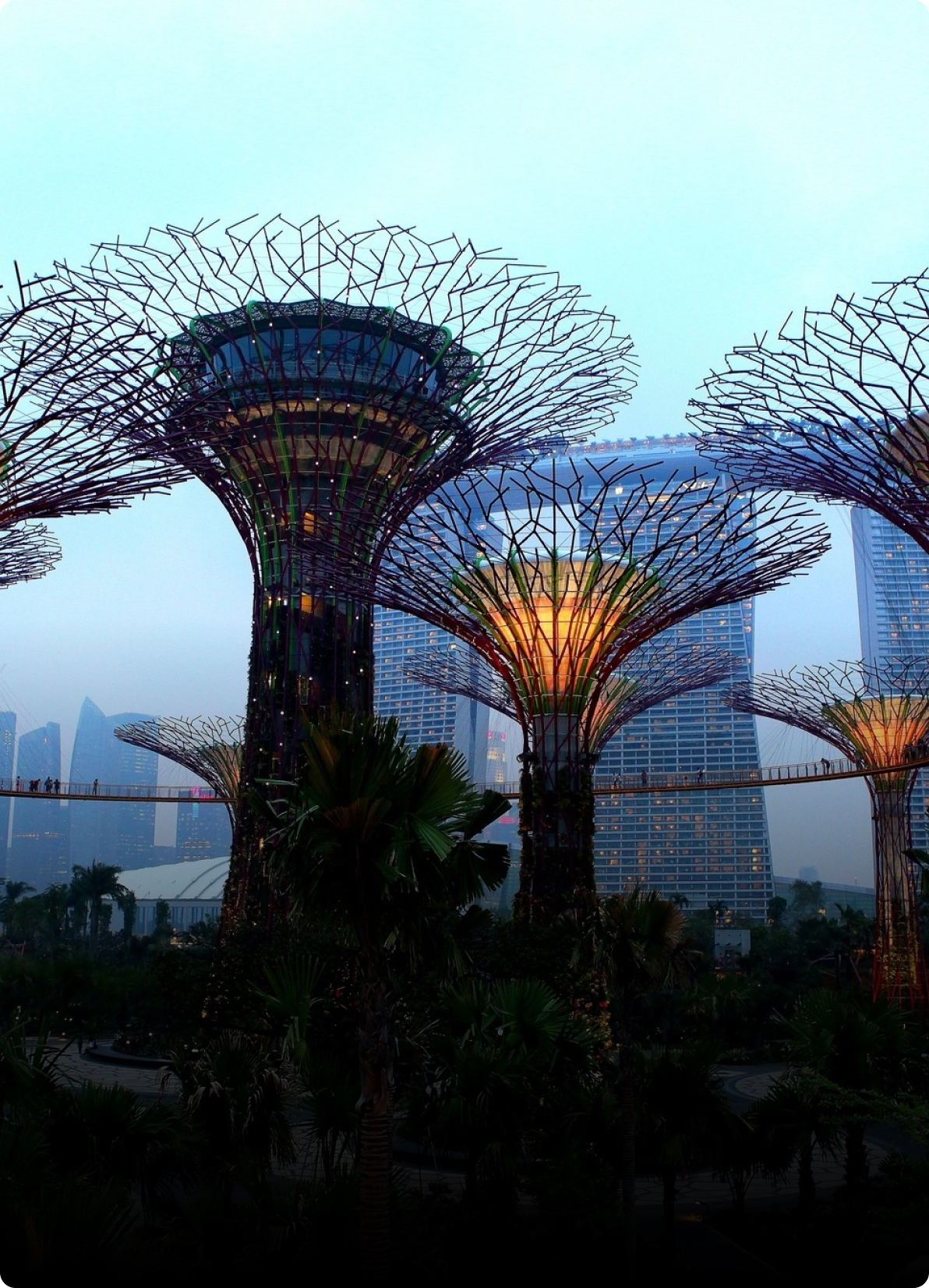 Gardens By The Bay