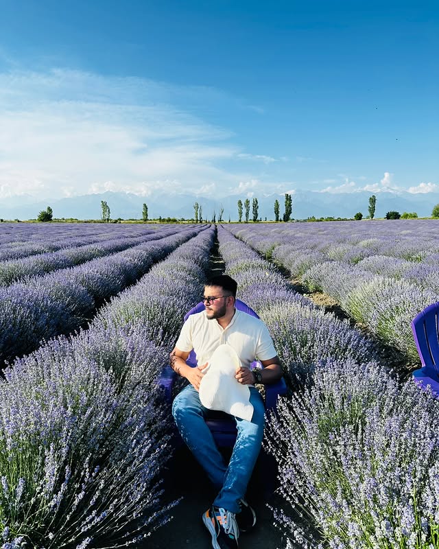 Lavender Farm