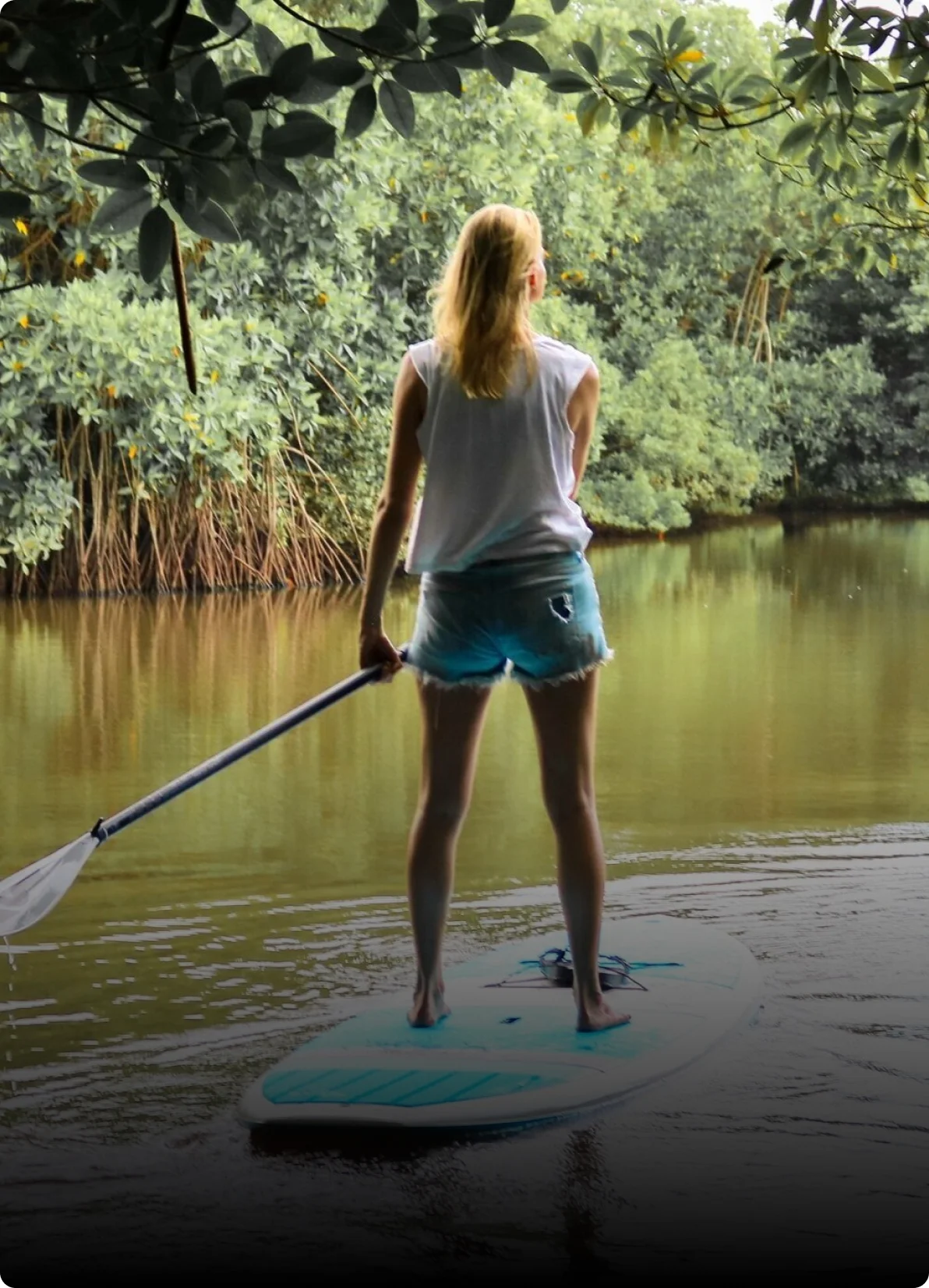 Paddle Boarding