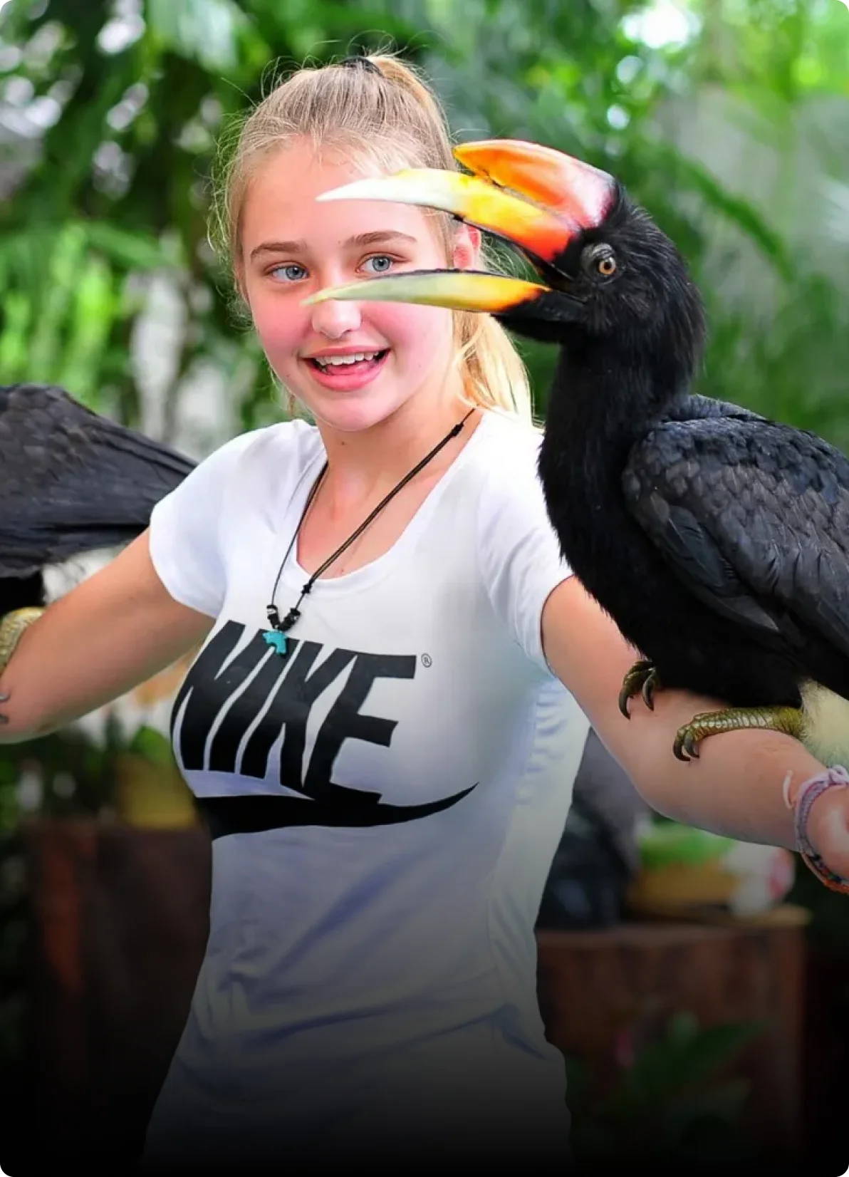 Phuket Bird Park