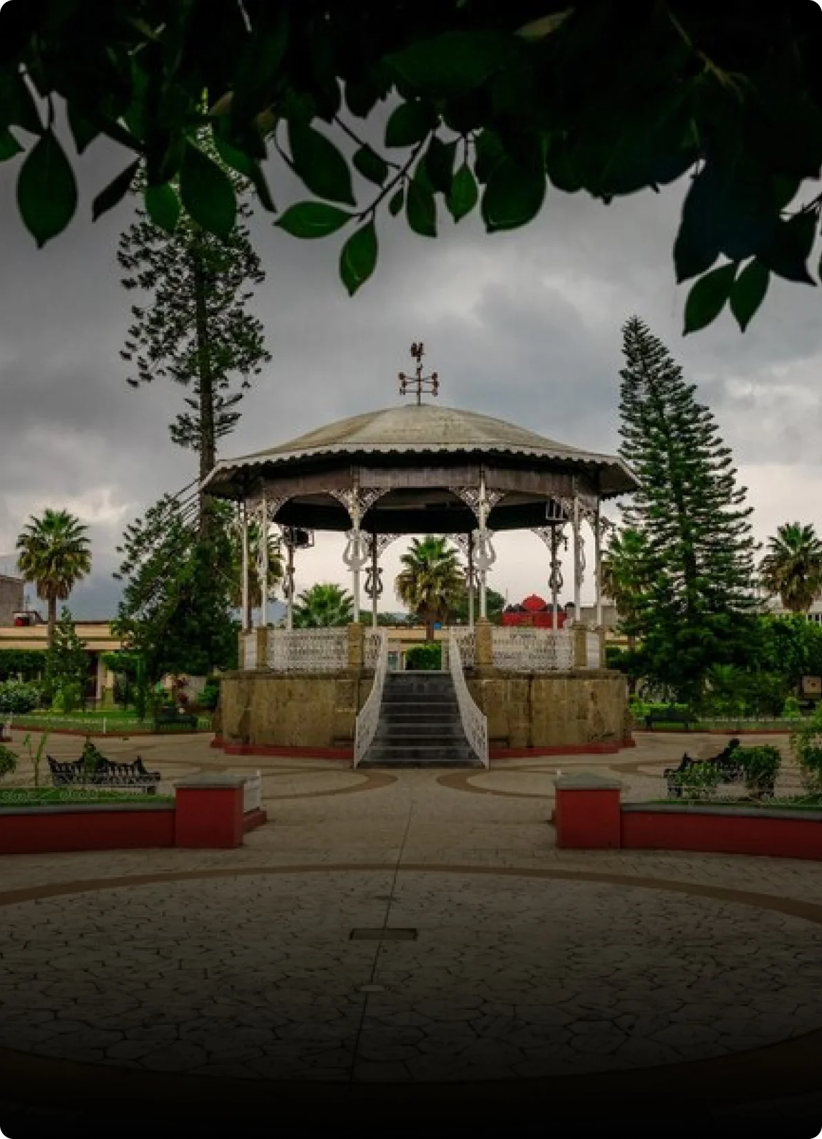  Royal Botanic Gardens