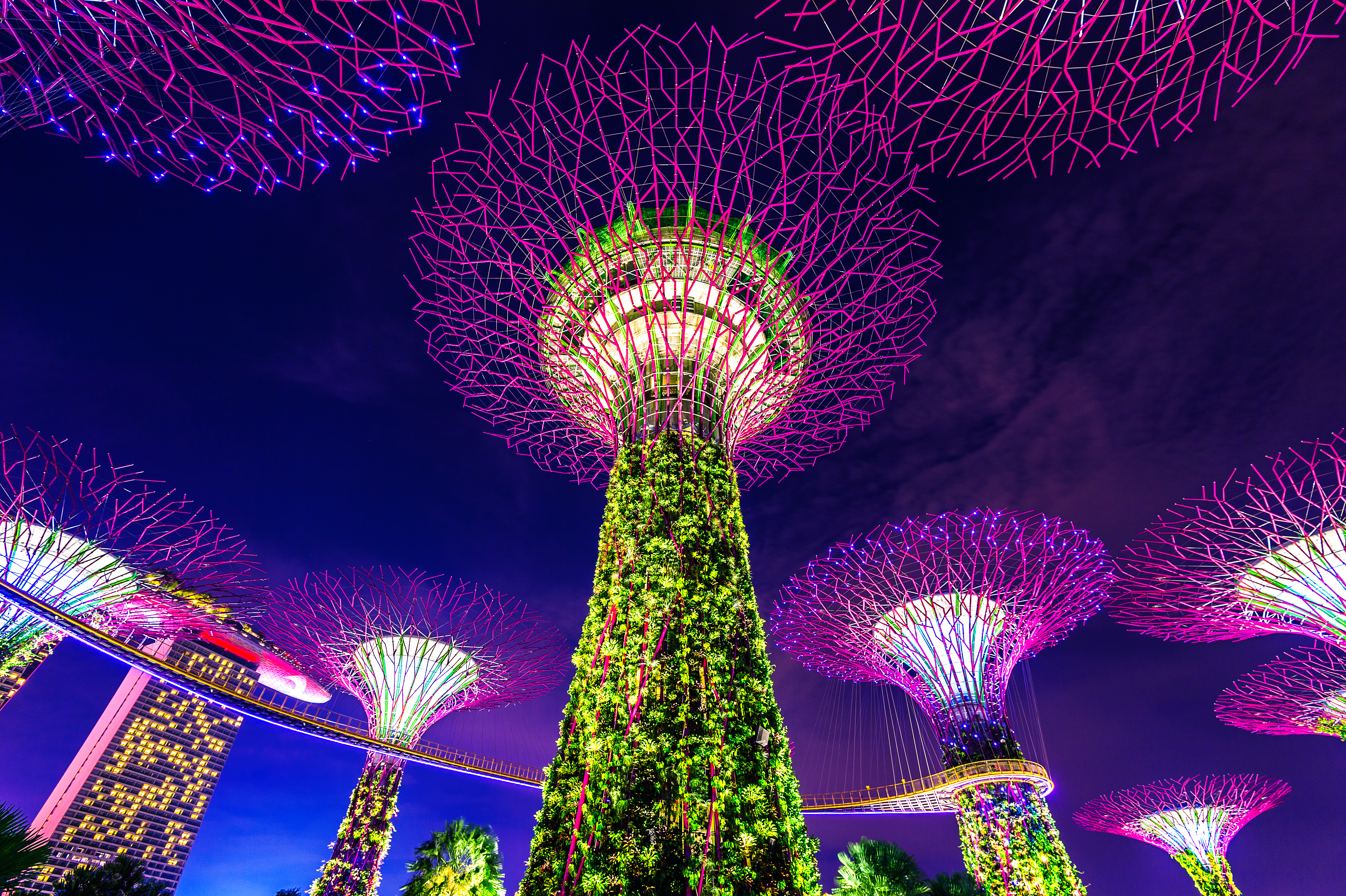 Best 3N Singapore Trips from Ahmedabad