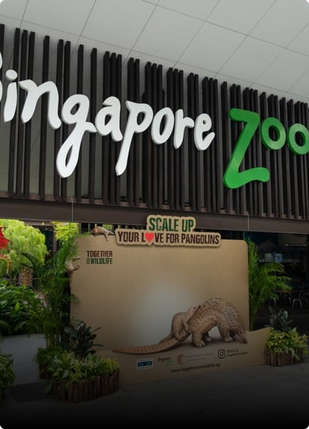 Singapore Zoo