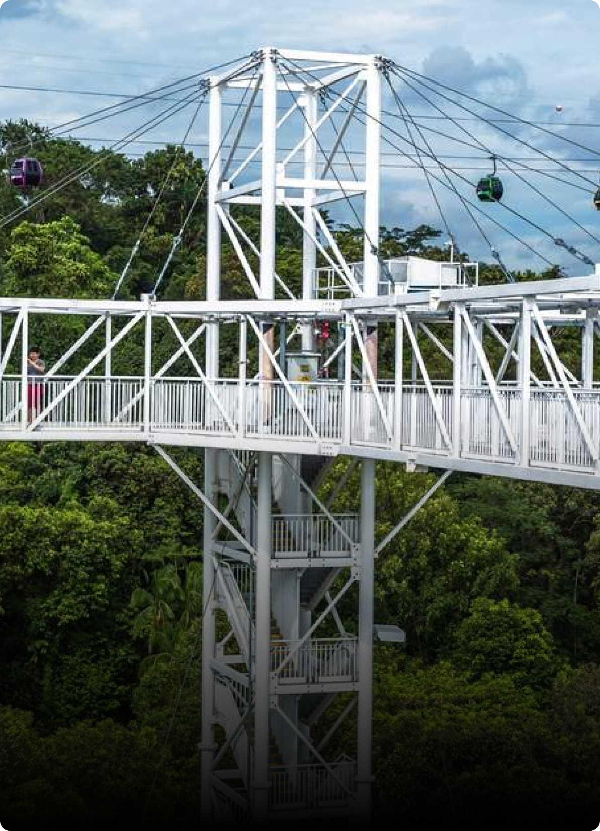 Skypark Sentosa by AJ Hackett