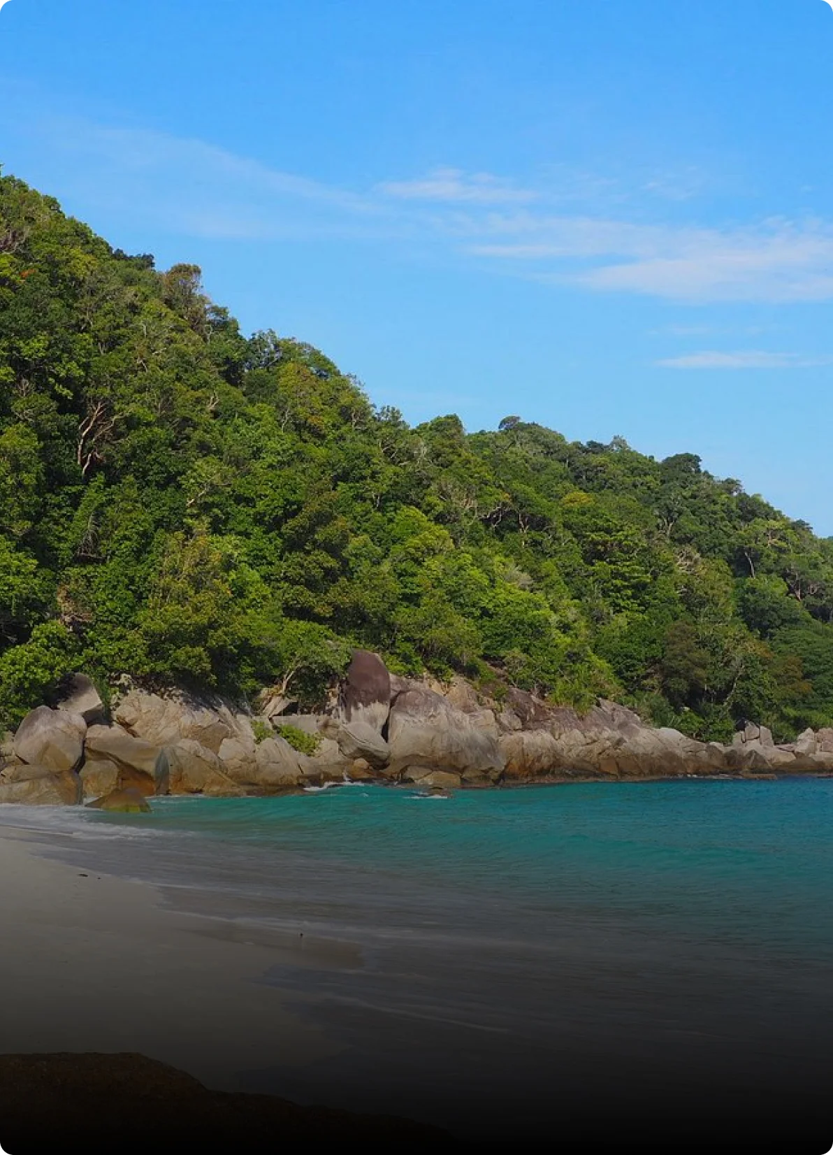 Turtle Sanctuary Beach