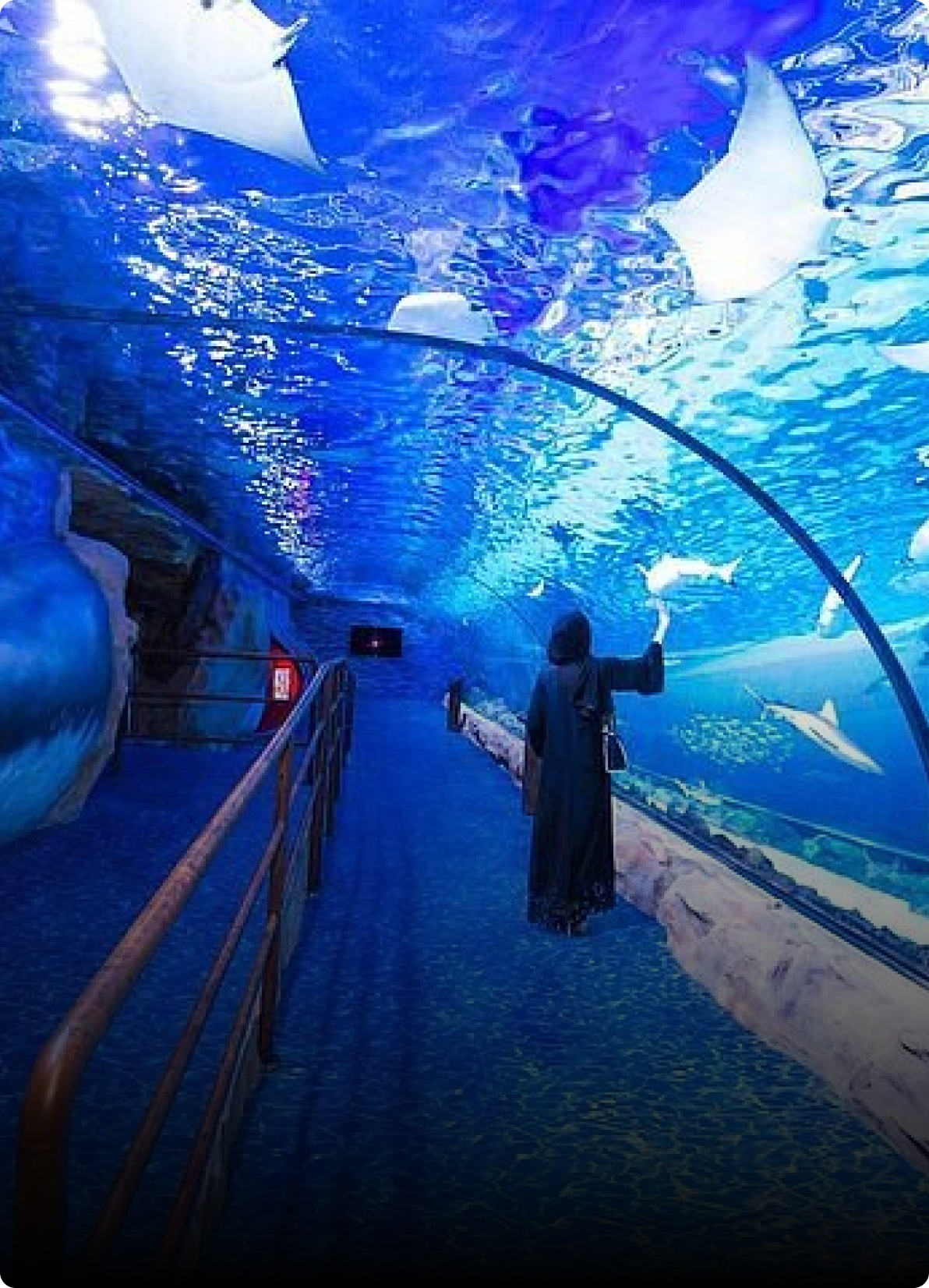 Underwater Zoo