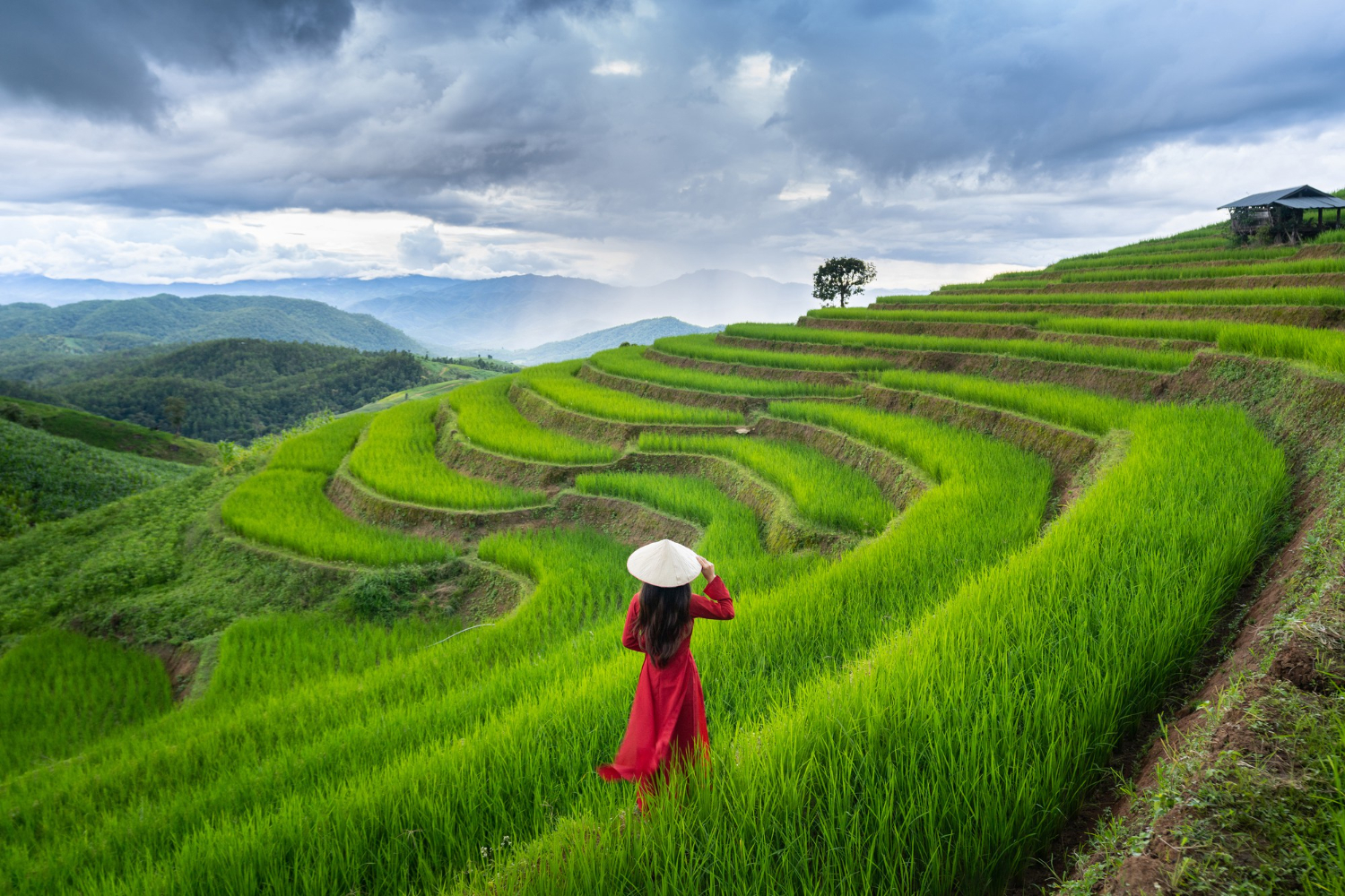 7-Night Vietnam Beach Holiday from Delhi – Coastlines & Coconut Boats