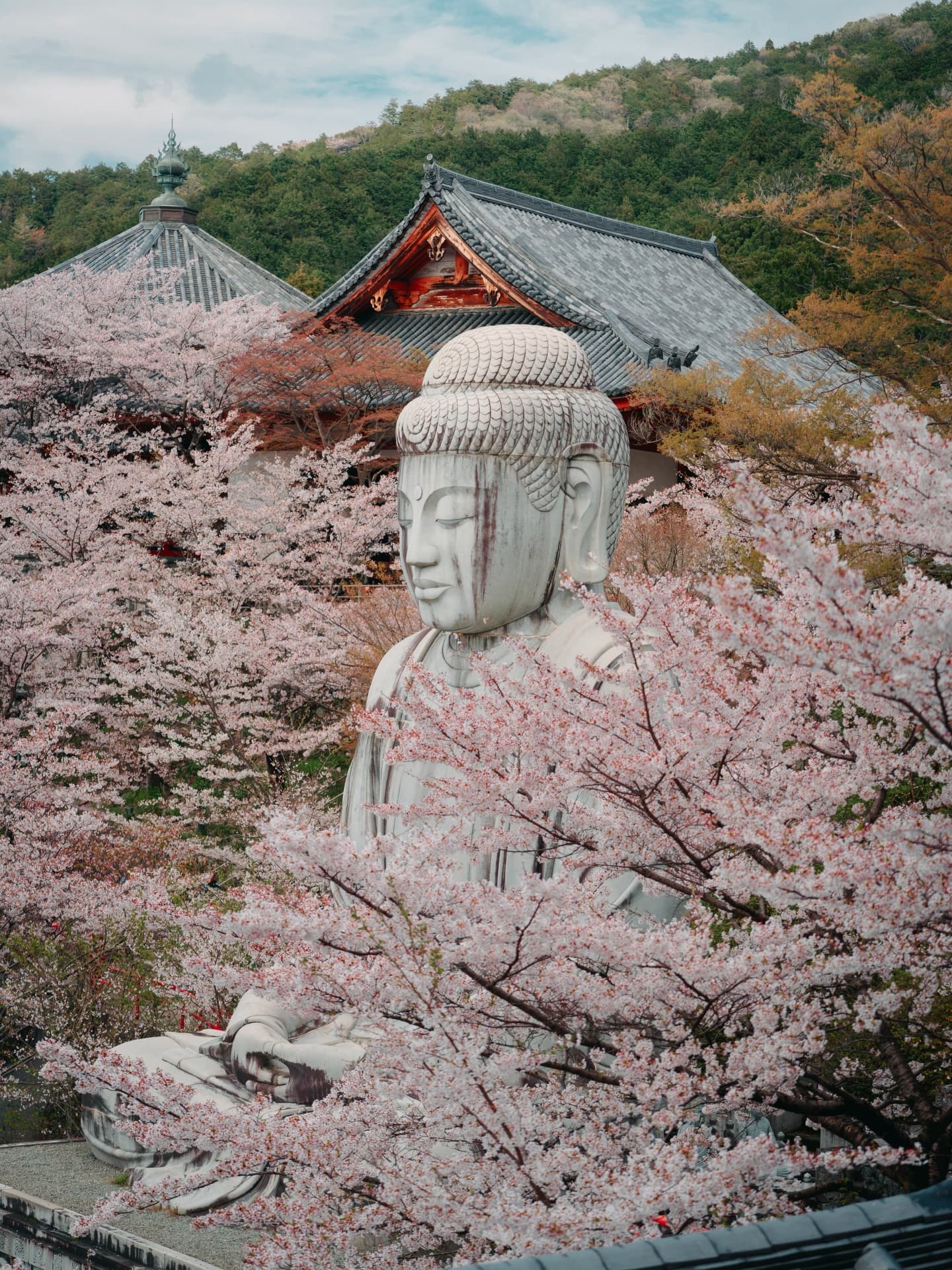 Nara