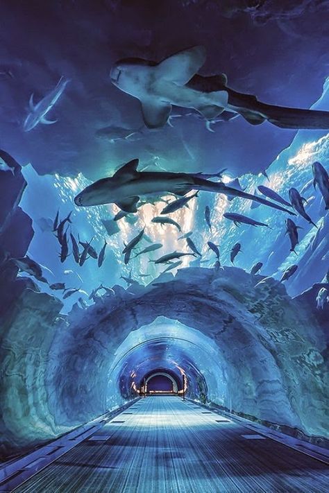 Chennai to Dubai Tour Packages – 5N/6D Luxury Escape with Atlantis, Aquarium & Burj Khalifa Sky