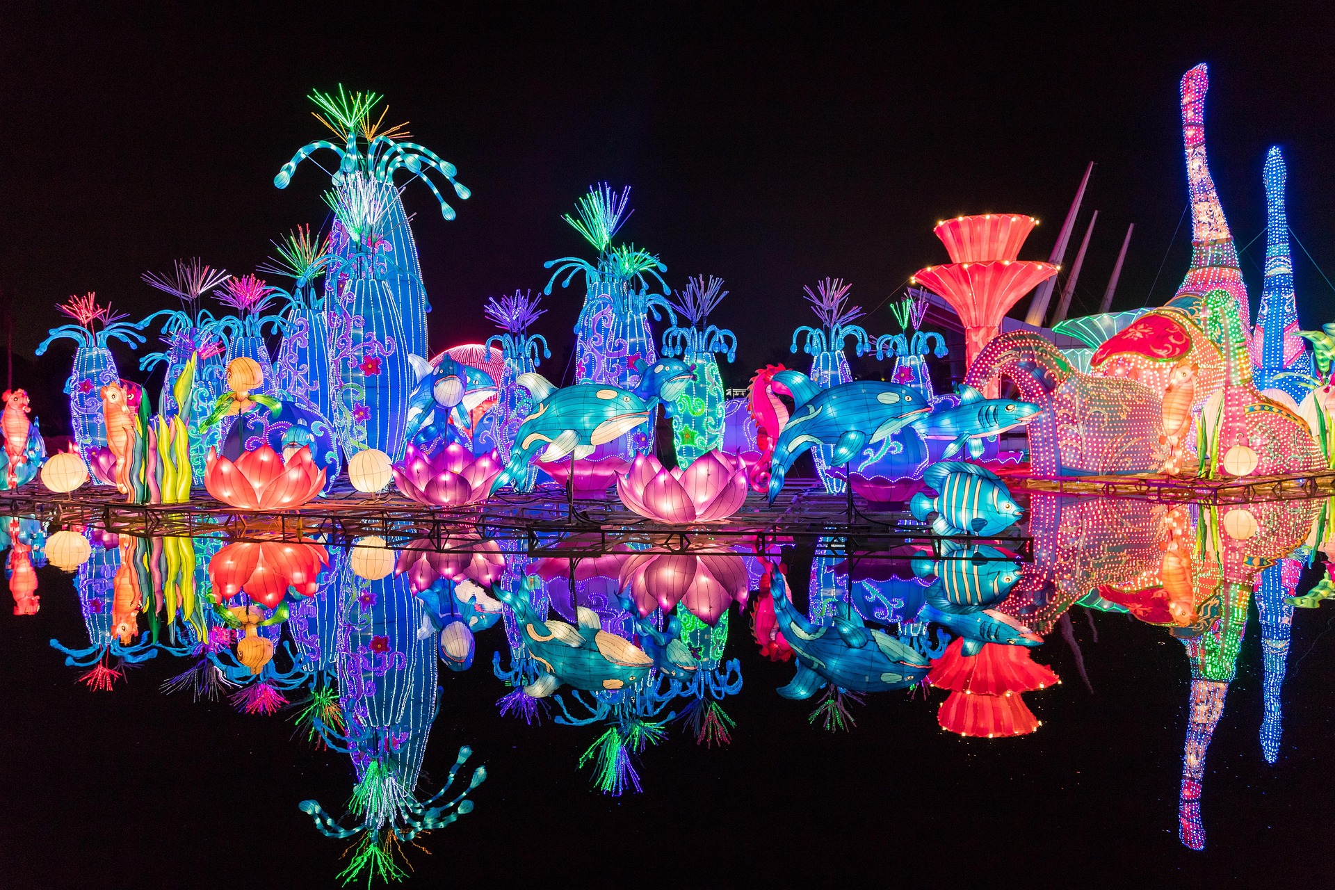 6N/7D Dubai Tour Package from Bangalore – Miracle Garden, Butterfly Garden & Global Village