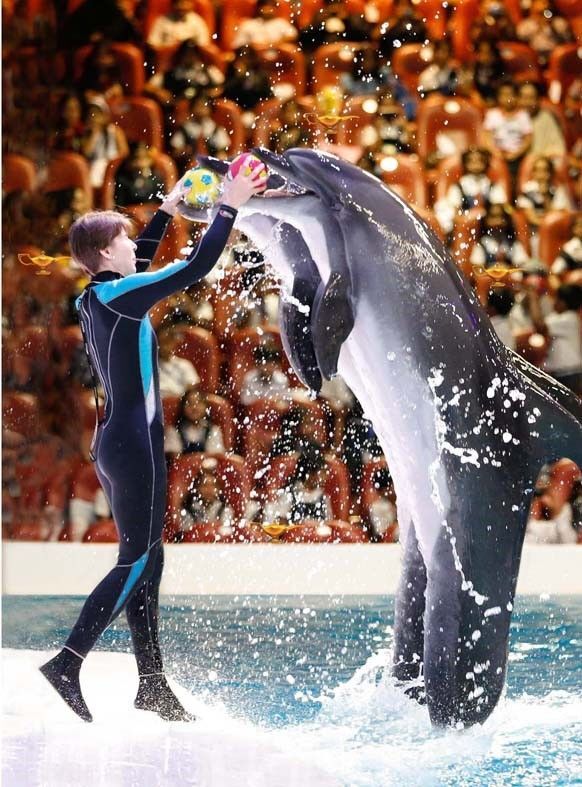 Dubai Holiday Package from Bangalore – 6N/7D with IMG Worlds, Dolphinarium & Marina Walk