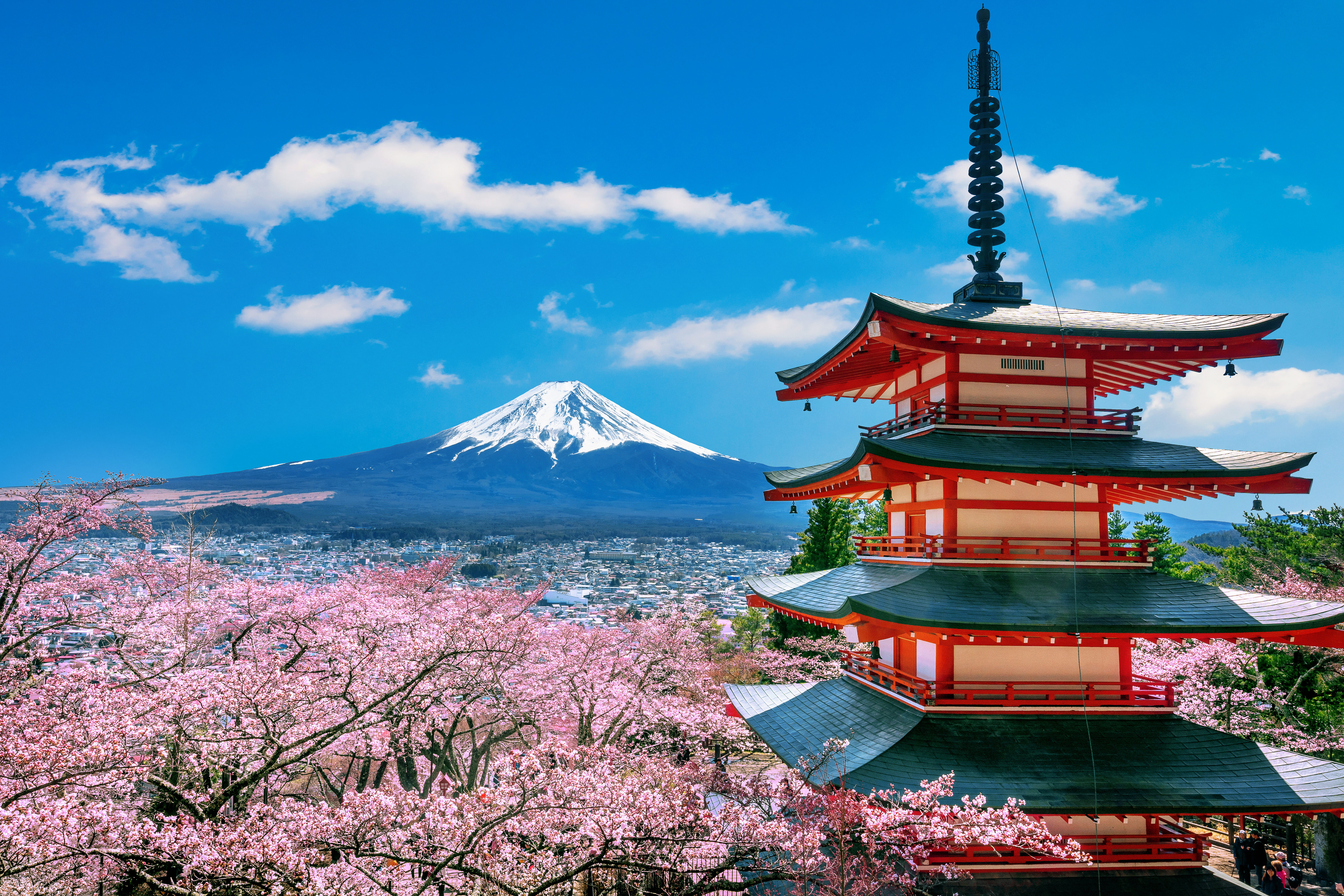 10N Japan Trip from Chennai – Tradition Meets Modern Wonders