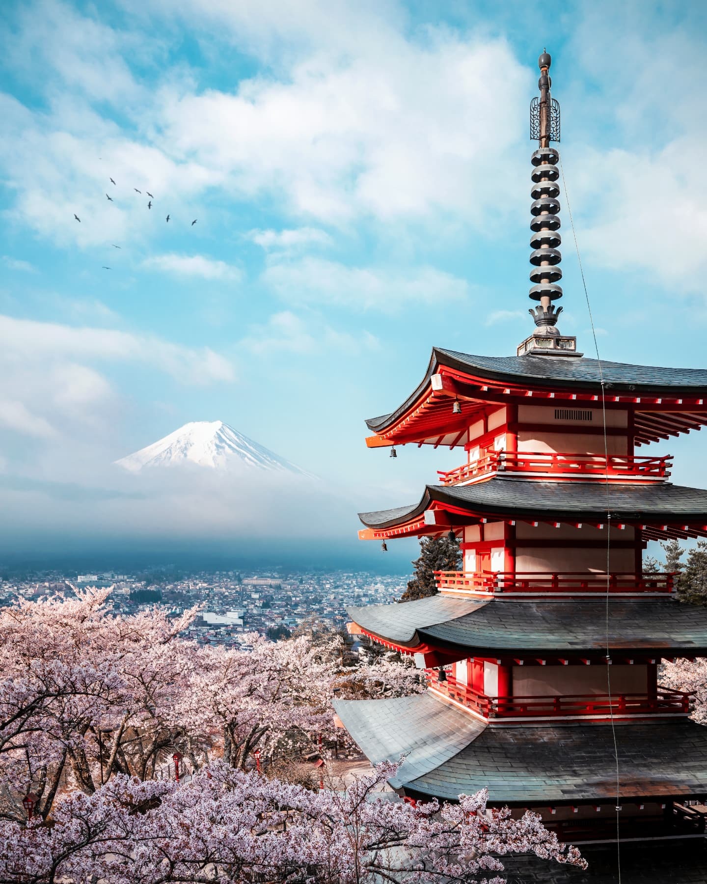6N tour package for japan from Bangalore – Kyoto Temples & Fuji Views