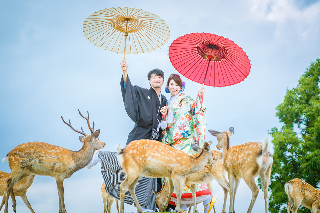 7N Japan family tour packages – Family Highlights