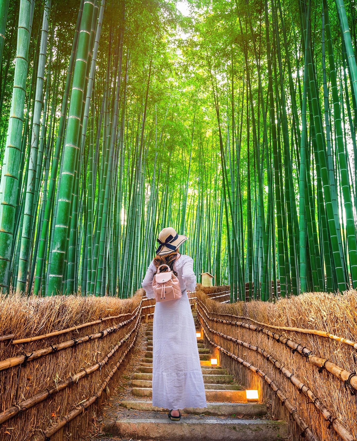 9N Japan Holiday Packages from Kolkata – Cultural Grand Tour