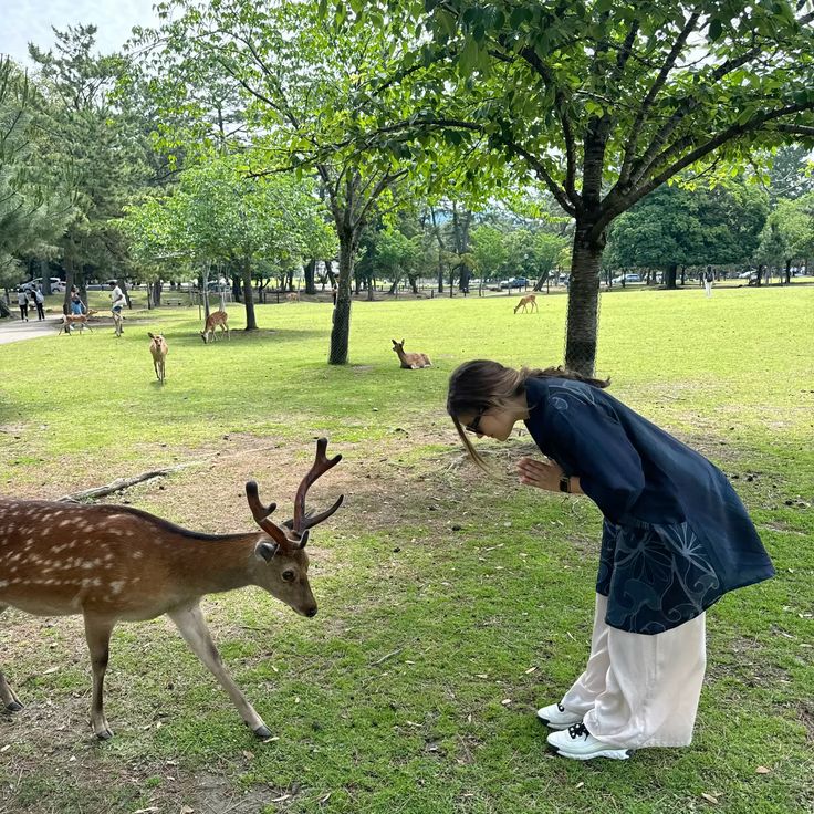 6N Chennai to Japan Tour Package – Urban Icons & Mountain Views