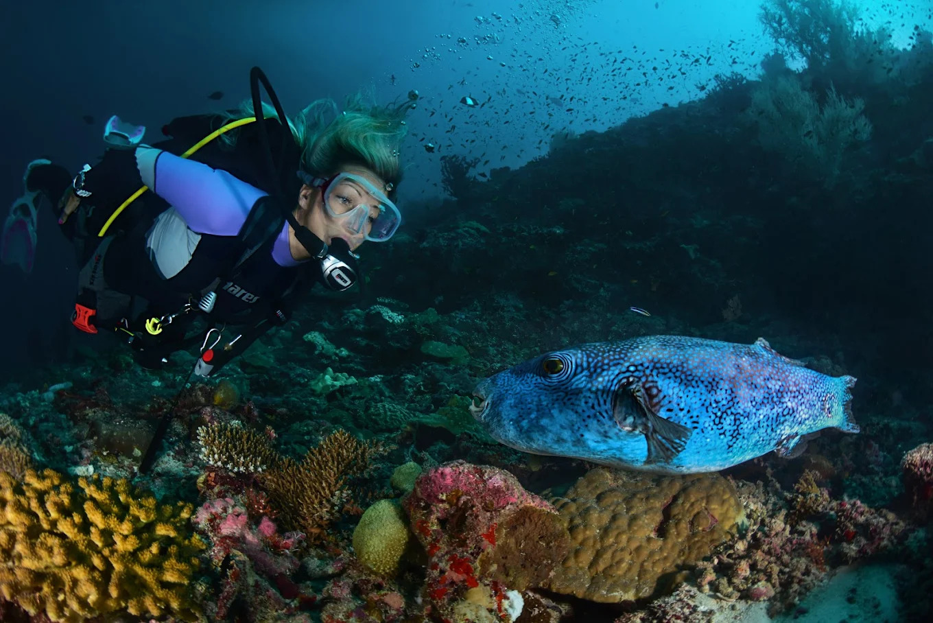 maldives
