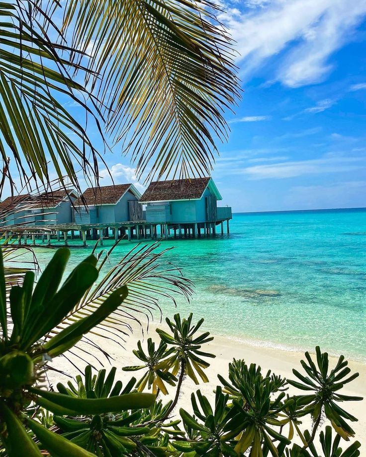 Kuramathi Maldives – 4 Nights Maldives Tour Package from Kerala