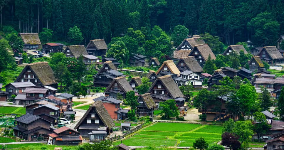 Shirakawa go Village and Matsumoto Castle