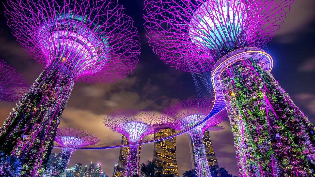 Best Time to Visit Singapore from India