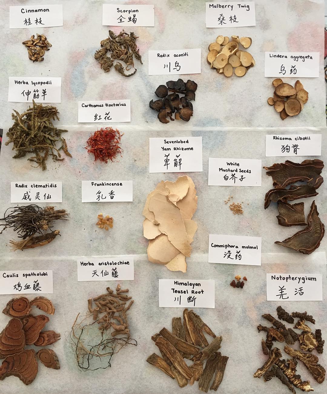 Traditional Chinese Medicine