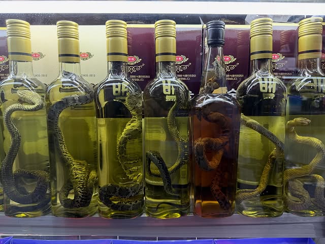 Snake Wine
