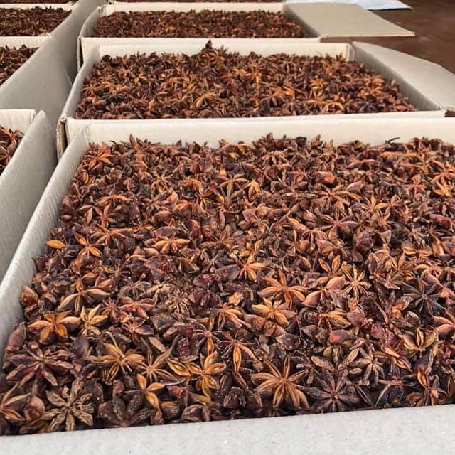 Phu Quoc Pepper and Star Anise