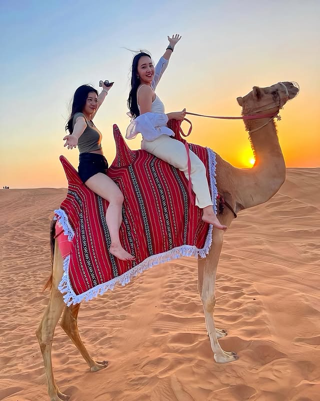 Desert Safari