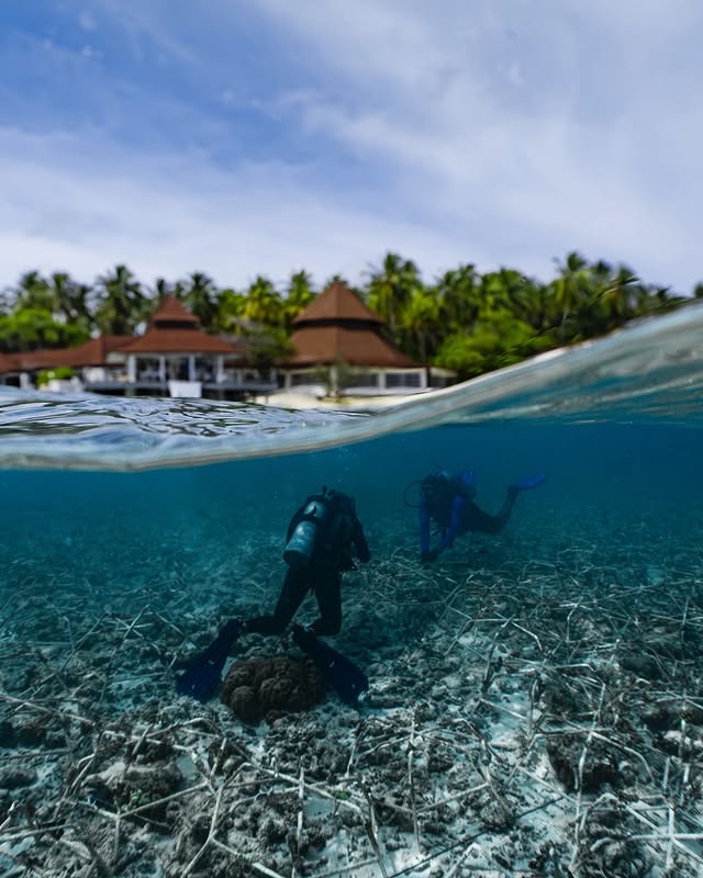 Diamond Thudufushi Maldives