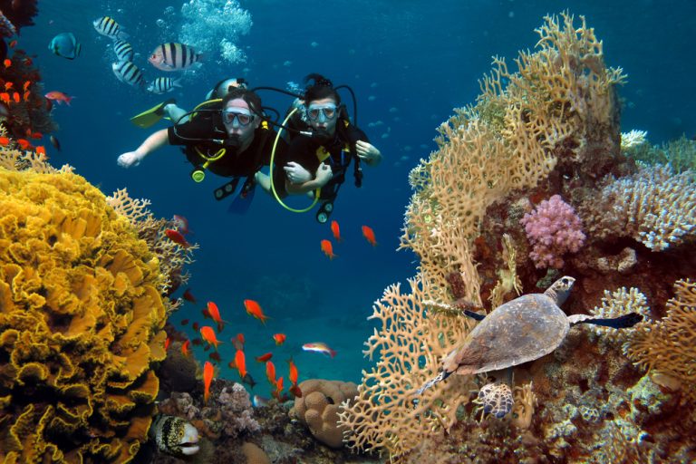 Maldives Itinerary