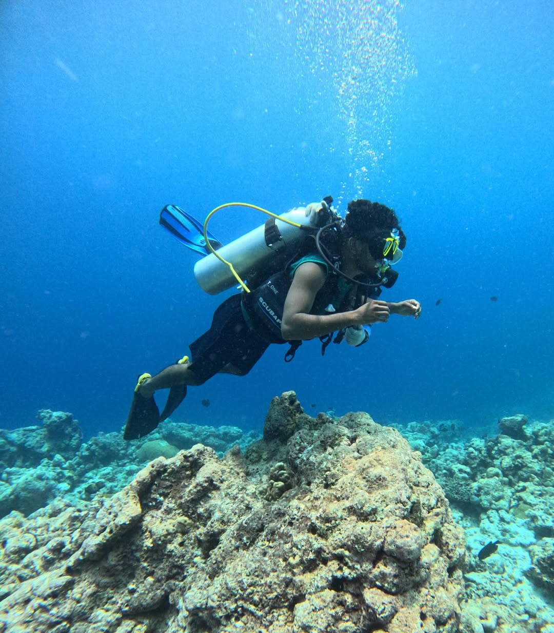Scuba Diving