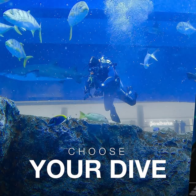 Shark Diving at Dubai Aquarium