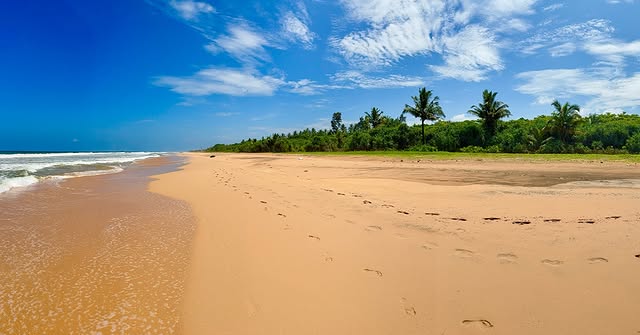 Bentota