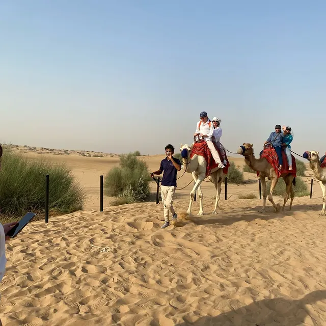 Desert Safari