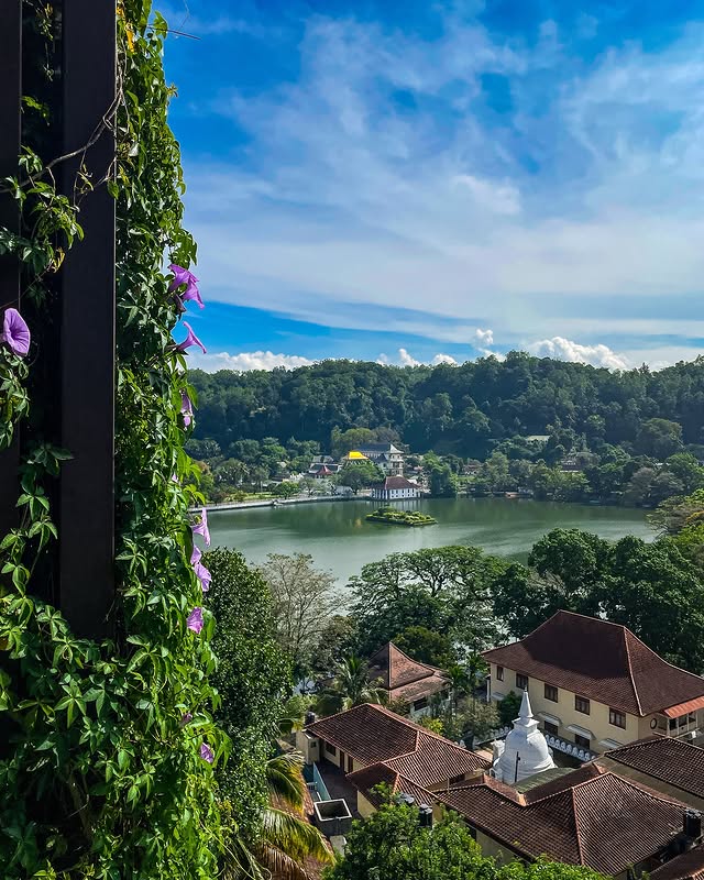 Kandy