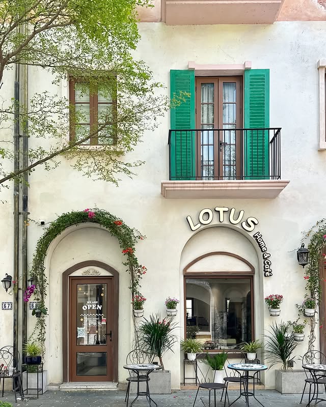 Lotus Home & Cafe