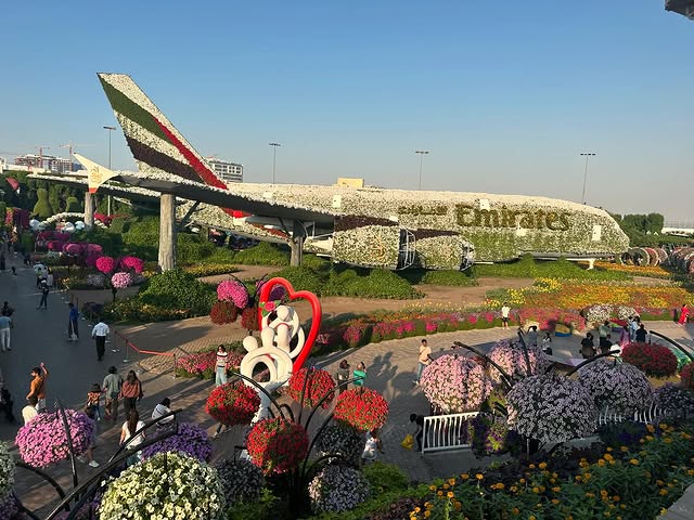 Miracle Garden