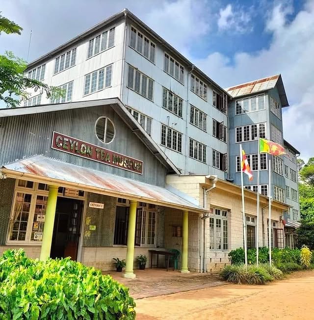 Sip tea at the Ceylon Tea Museum