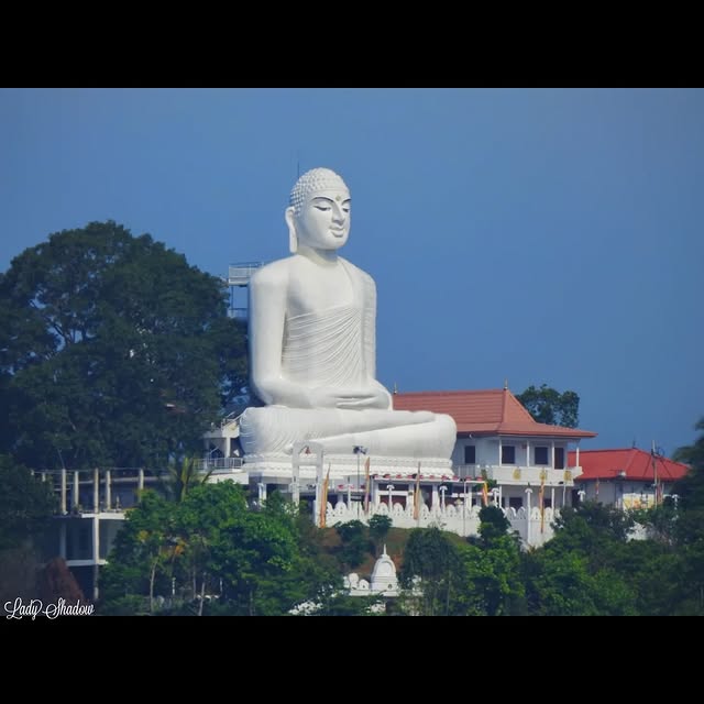 Sri Maha Bodhi Viharaya