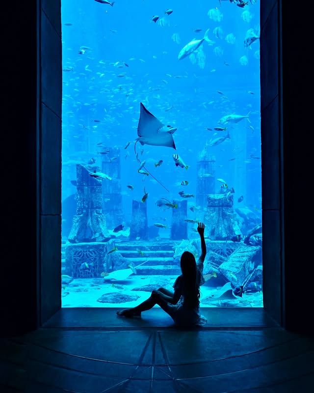 The Lost Chambers Aquarium