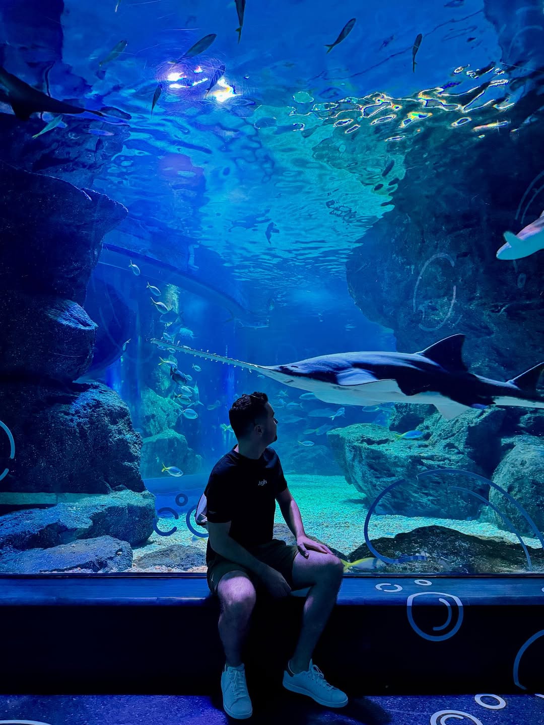 SEA LIFE Bangkok Ocean World