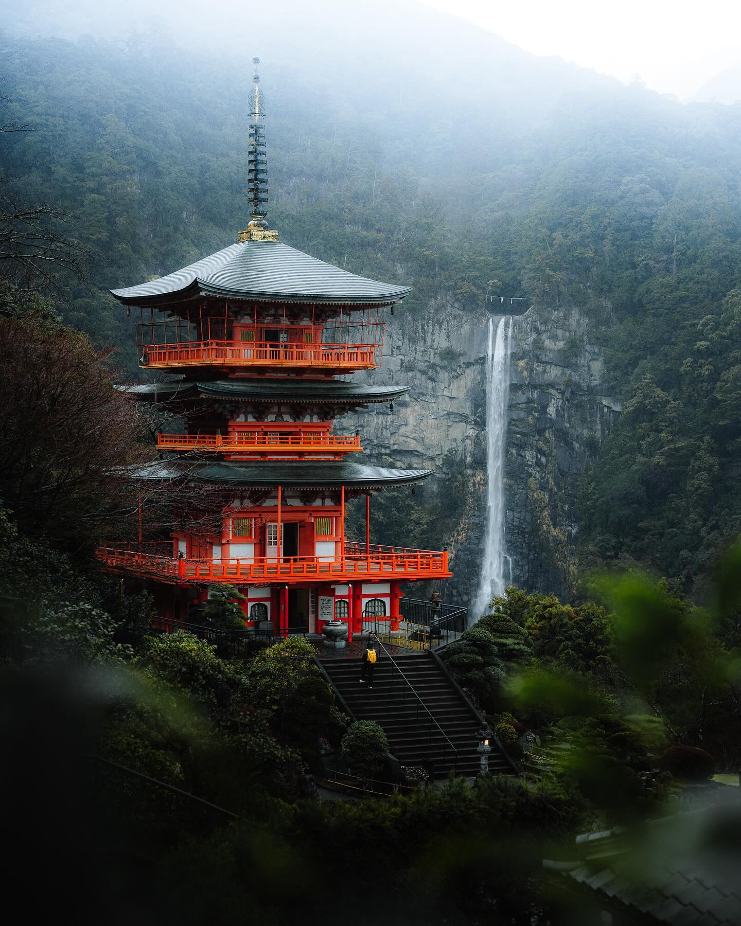 Best Time to Visit Japan from India - DImaak