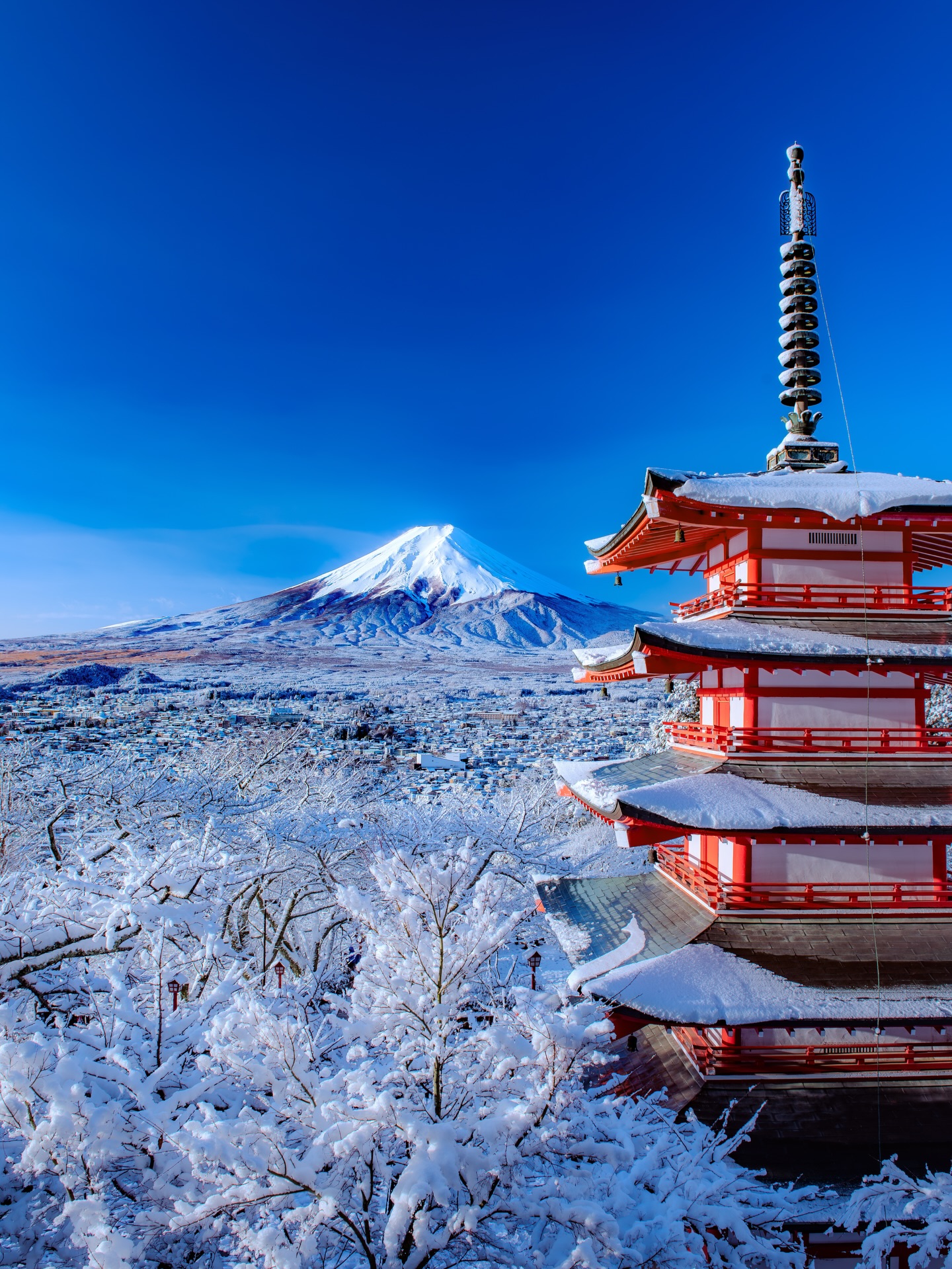 Best time to visit Japan from India by Season