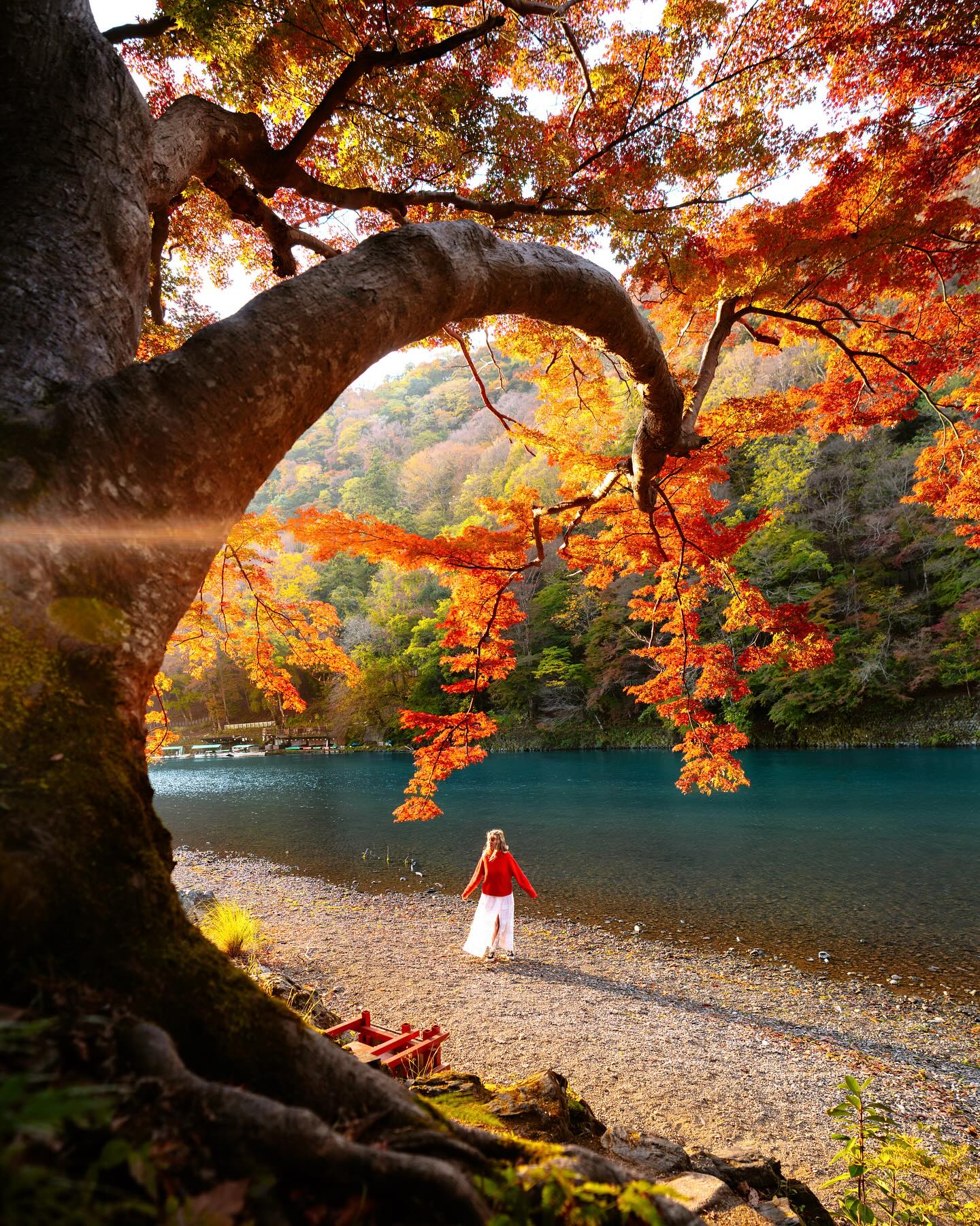Japan weather