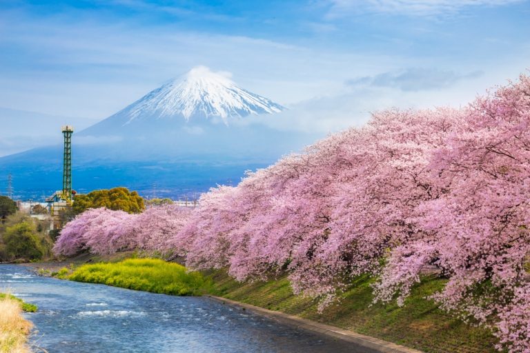 japan tourist visa for Indians​