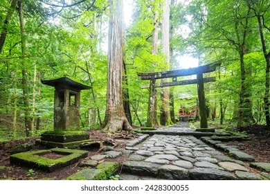 things to do in tokyo